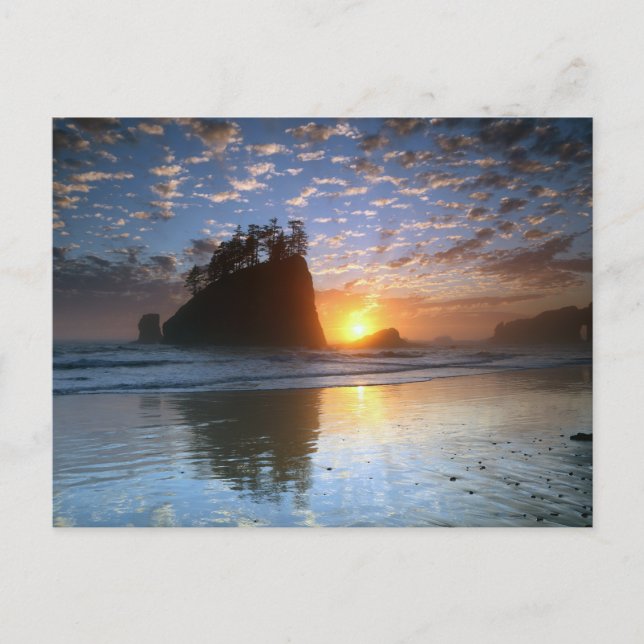 Carte Postale Second Beach, La Push, coucher de soleil, (Devant)