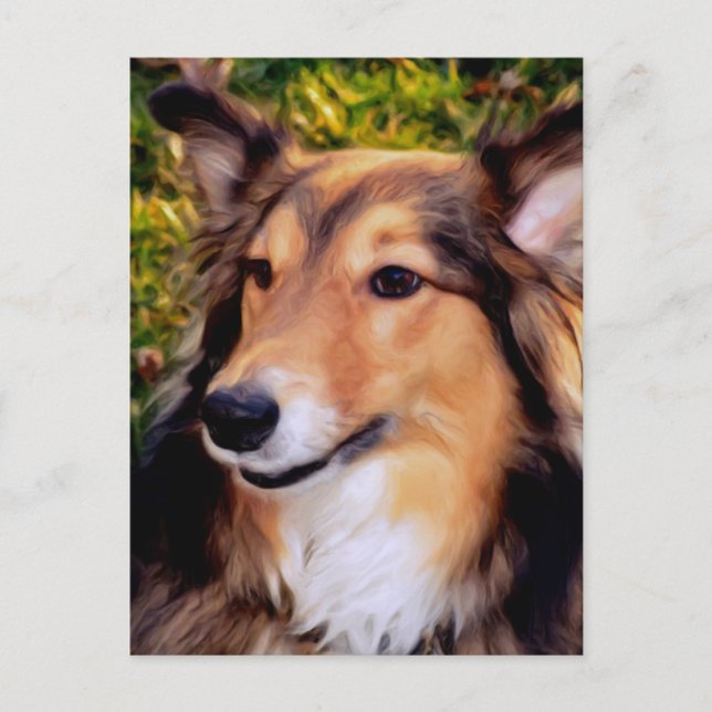 Carte Postale Secourir le chien (Devant)