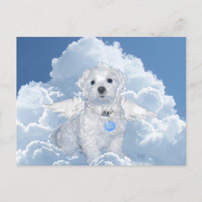 Carte Postale Secourt maltaise Angel (Devant)