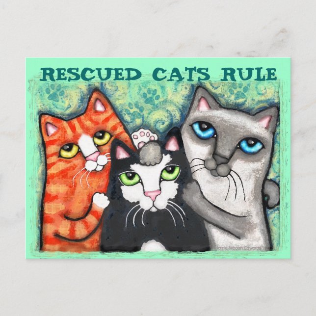 Carte Postale Secouru / Hébergement Chat's (Devant)