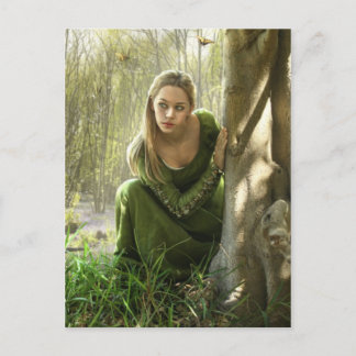 Carte postale Secret Forest