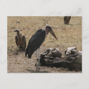 Carte Postale secrétaire