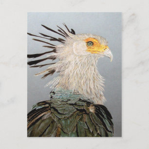 Carte Postale Secrétaire Bird