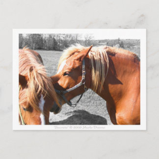 Carte Postale Secrets