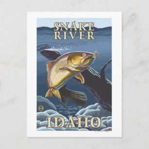 Carte Postale Section de la pêche de la truite - rivière Snake,