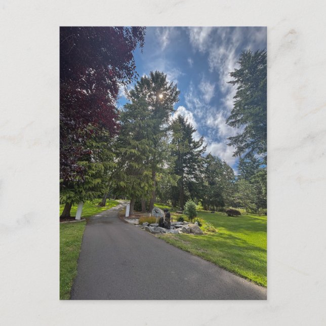 Carte Postale Section des vétérans paisibles  (Devant)
