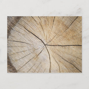 Carte Postale Section transversale du tronc d'arbre