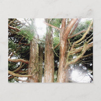 Carte Postale sécurité trouvée