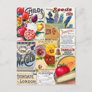 Carte Postale Seed Packets