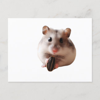 Carte Postale Seeds & Hamsters