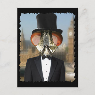 Carte Postale Seigneur des mouches