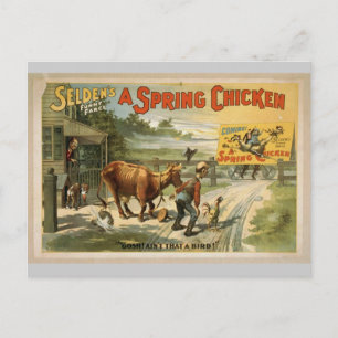 Carte Postale Selden