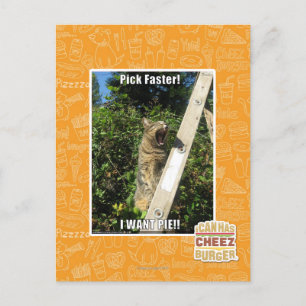 Carte Postale Sélection plus rapidement !