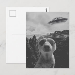 Carte Postale Selfie de suricate dans un paysage de montagne sur