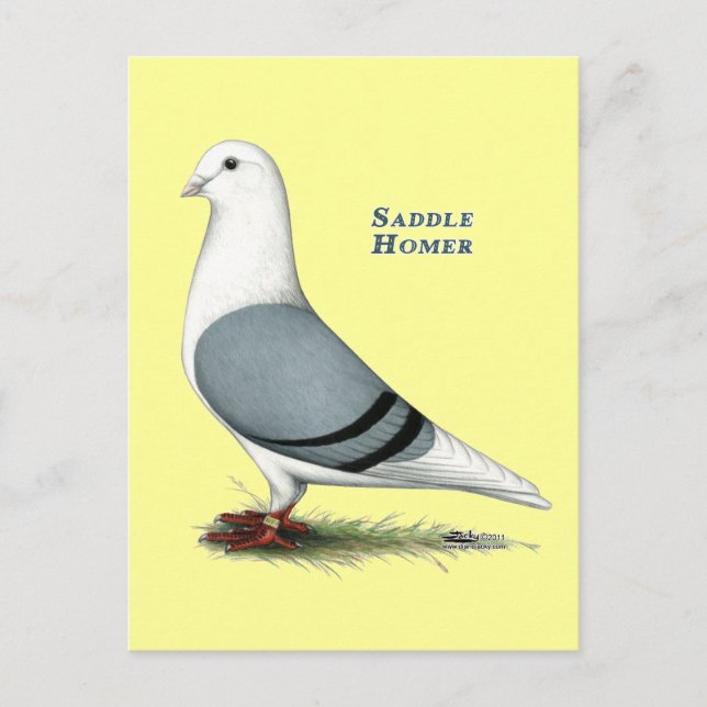 Carte Postale Selle bleue Homer (Devant)