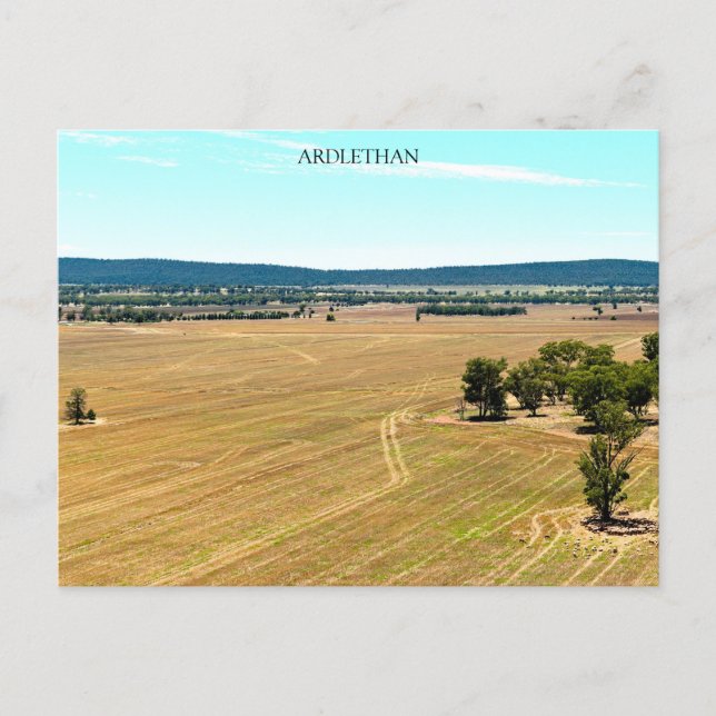 Carte postale semi-brillant de base (Devant)