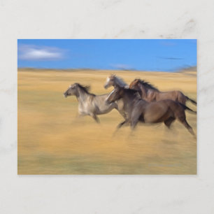 Carte Postale Seneca, Oregon, États-Unis