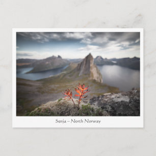 Carte Postale Senja Norvège