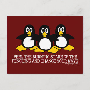 Carte Postale Sentez Le Regard Brillant Des Pingouins