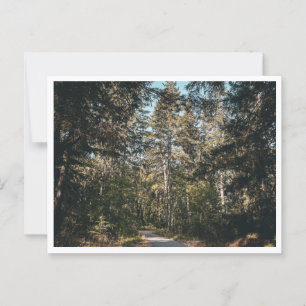 Carte Postale Sentier