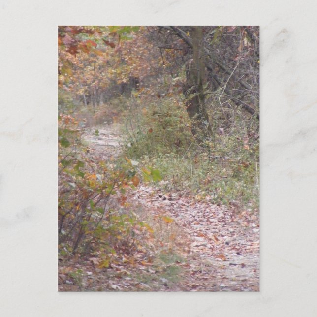 Carte Postale sentier appalachien chute pennsylvanie (Devant)
