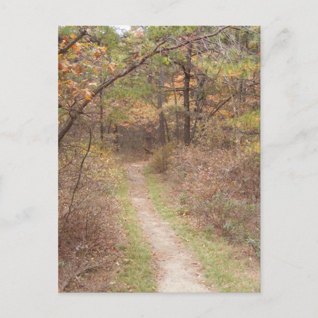 Carte Postale sentier appalachien chute pennsylvanie (Devant)