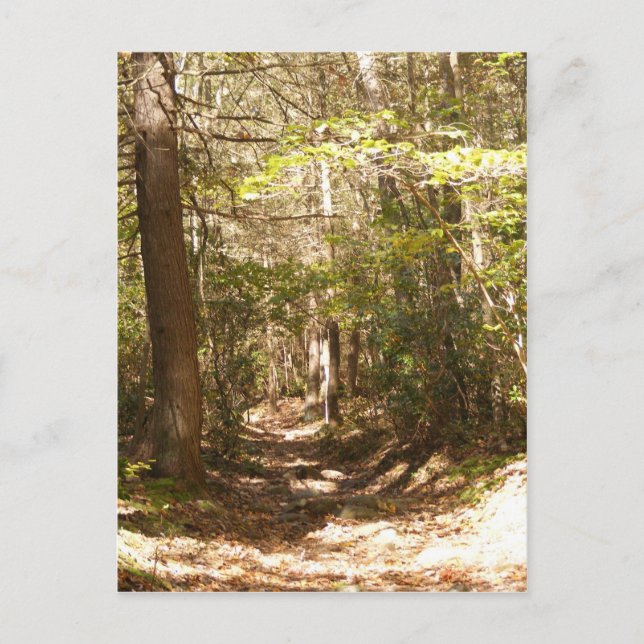 Carte Postale sentier appalachien pennsylvanie (Devant)