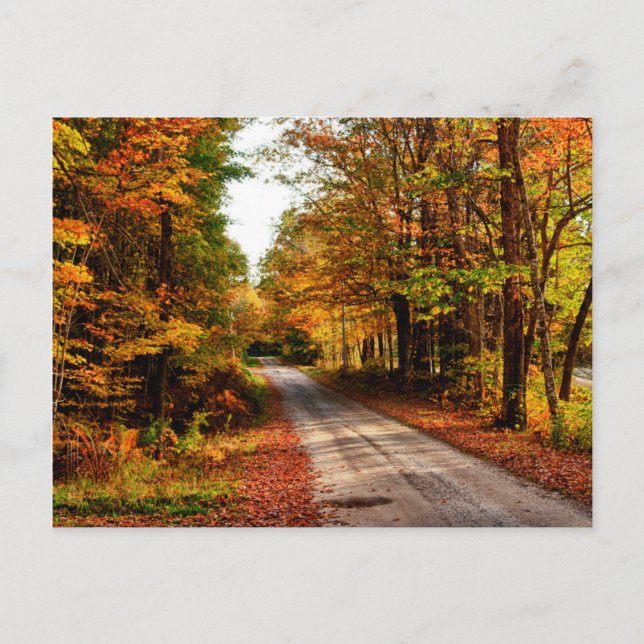 Carte Postale Sentier boisé avec feuillage d'automne (Devant)