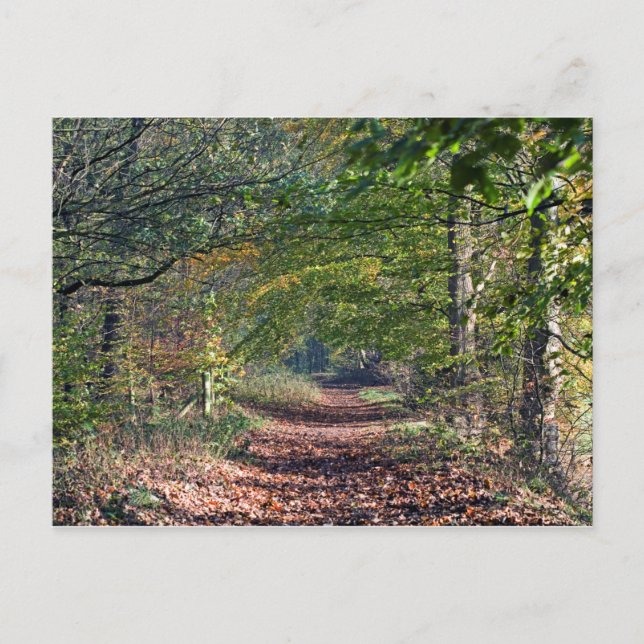 Carte Postale Sentier d'automne à Poynton Cheshire (Devant)