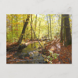 Carte Postale Sentier de la Pump House en automne