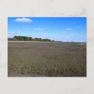 Carte Postale Sentier de la réserve naturelle de l'île Burton