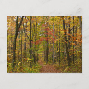 Carte Postale Sentier de Laurel Hill en automne