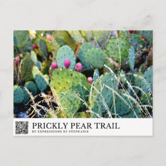 Carte Postale Sentier de l'Opuntia