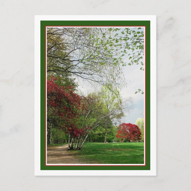 Carte Postale Sentier de marche du printemps (Devant)