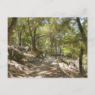 Carte Postale Sentier de quatre miles