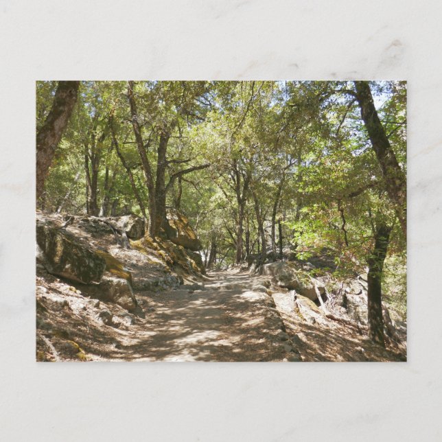 Carte Postale Sentier de quatre miles (Devant)