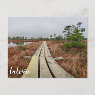 Carte Postale Sentier de randonnée dans le marécage