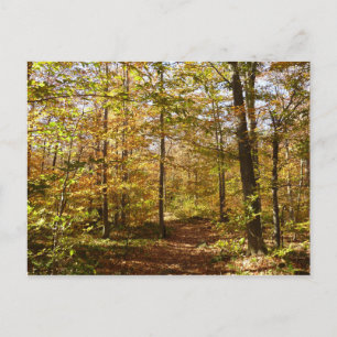 Carte Postale Sentier de Wolf Rocks en automne paysage de Pennsy