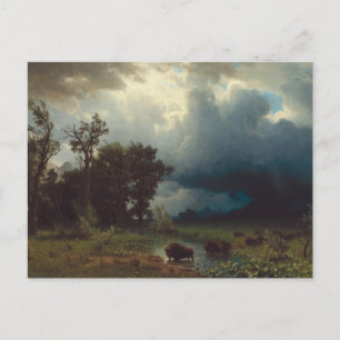 Carte Postale Sentier des bisons : La tempête imminente