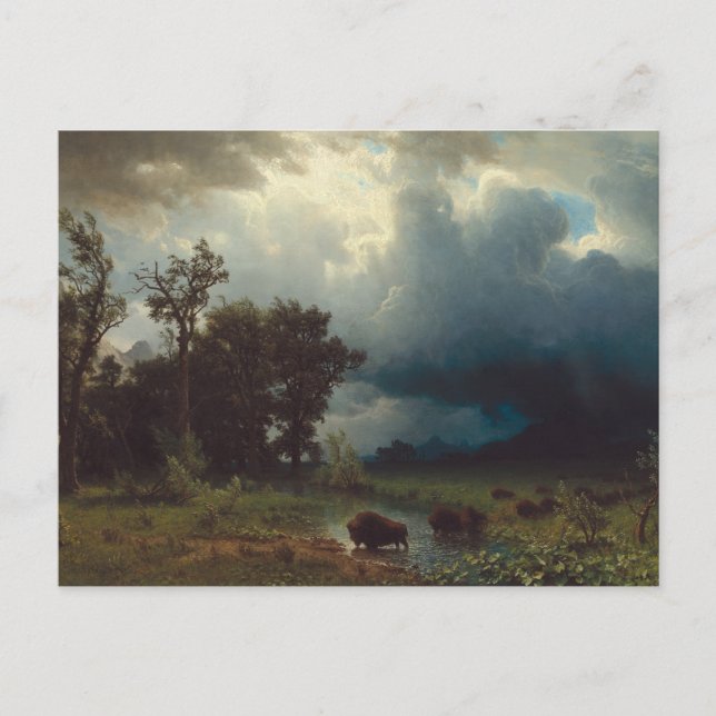 Carte Postale Sentier des bisons : La tempête imminente (Devant)