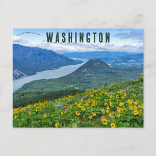 Carte Postale Sentier Dog Mountain Cook Washington États-Unis