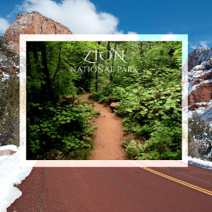 Carte Postale Sentier du ruisseau Taylor, canyons Kolob, Zion NP