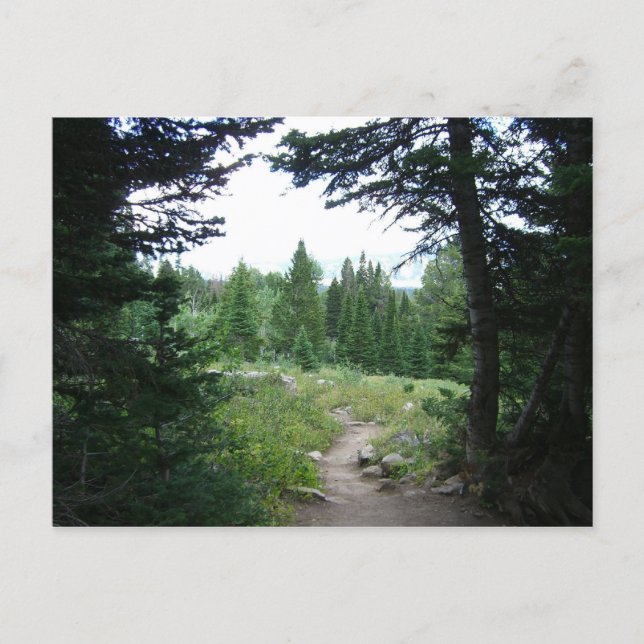 Carte Postale Sentier Grand Teton (Devant)
