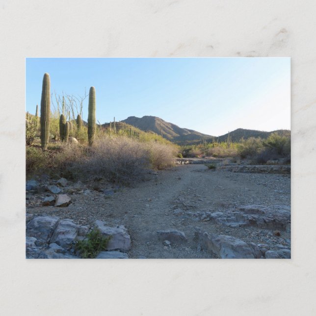 Carte Postale Sentier King Canyon I (Devant)