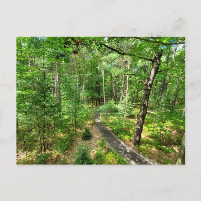 Carte Postale Sentier naturel Midland Michigan (Devant)