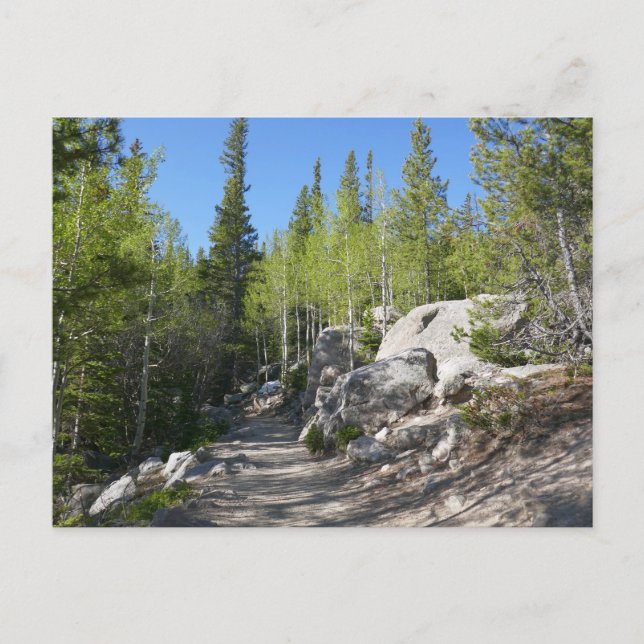 Carte Postale Sentier pour Alberta Falls (Devant)
