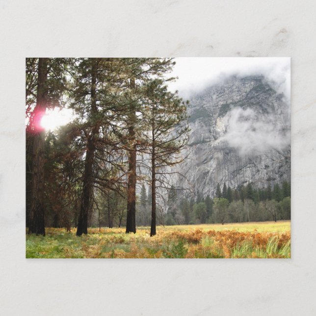 Carte Postale Sentinel Meadow (Devant)