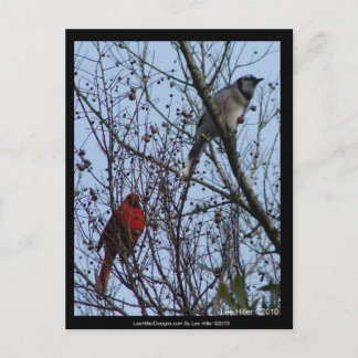 Carte Postale Sentinels Blue Jay et Cardinal par Lee Hiller