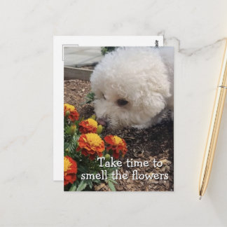 Carte Postale Sentir les Fleurs