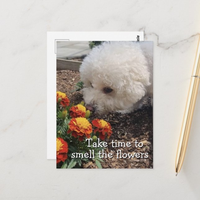 Carte Postale Sentir les Fleurs (Devant/Arrière en situation)